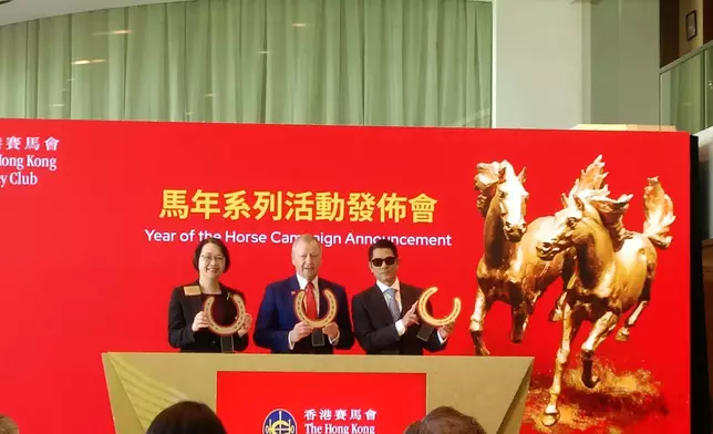 「馬到功成耀香江」的馬年煙花匯演。巴士的報記者攝