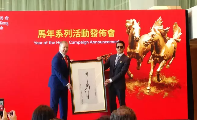 「馬到功成耀香江」的馬年煙花匯演。巴士的報記者攝