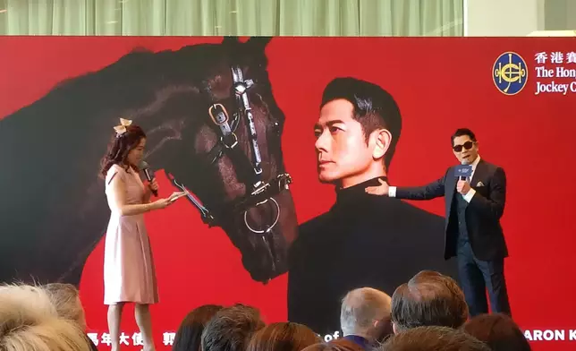 「馬到功成耀香江」的馬年煙花匯演。巴士的報記者攝