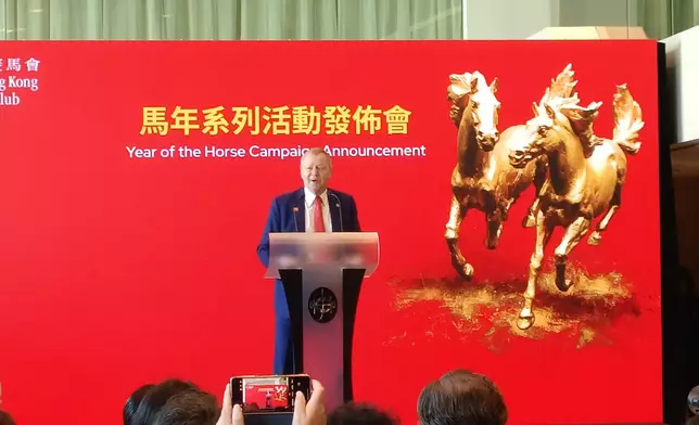 「馬到功成耀香江」的馬年煙花匯演。巴士的報記者攝