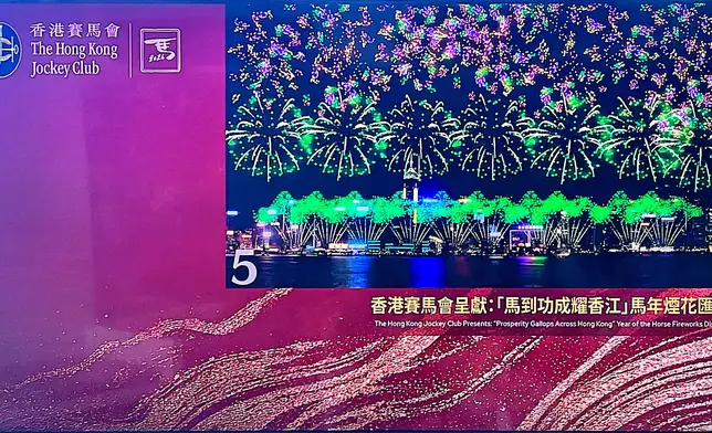 「馬到功成耀香江」的馬年煙花匯演。巴士的報記者攝