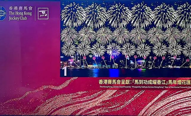 「馬到功成耀香江」的馬年煙花匯演。巴士的報記者攝