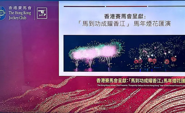 「馬到功成耀香江」的馬年煙花匯演。巴士的報記者攝