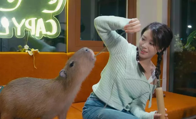 林凱恩好似仲可愛過卡皮巴拉。