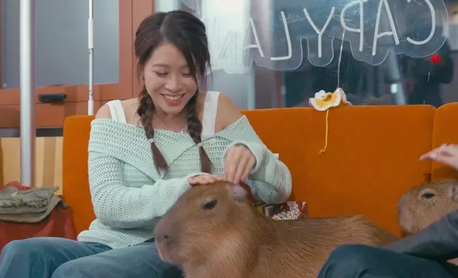 林凱恩好似仲可愛過卡皮巴拉。