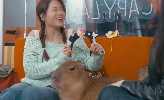 林凱恩好似仲可愛過卡皮巴拉。