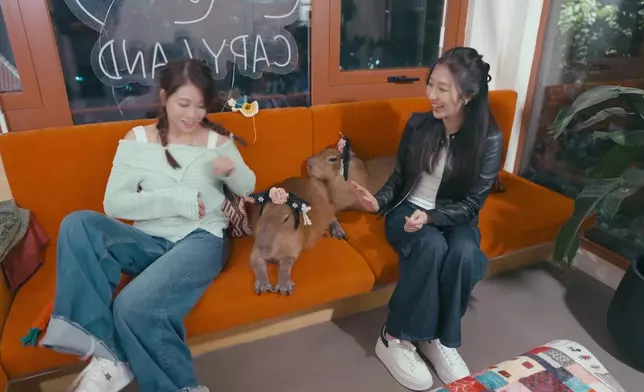 林凱恩好似仲可愛過卡皮巴拉。