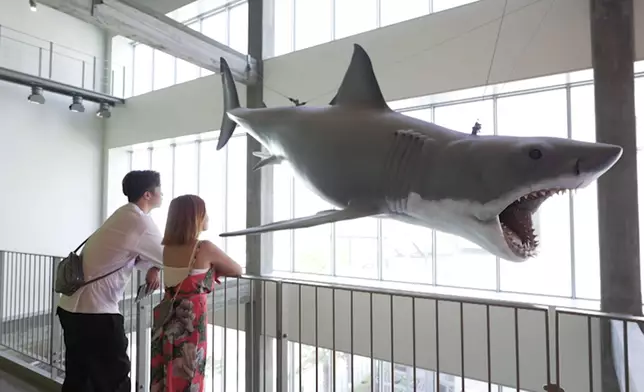 參觀奧斯卡電影博物館。