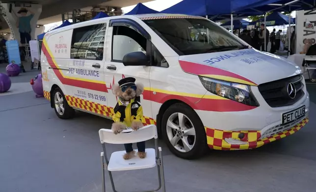 東九龍總區舉辦「第五屆東九龍動物嘉年華」，保護動物是主題之一。警方圖片