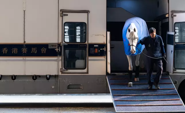 約60匹參與盛典的馬匹本周二於海外運抵本港，由機場經馬會運馬車前往亞博。香港賽馬會圖片