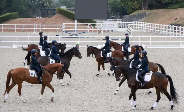 八匹參加「馬會退役賽駒駿展新生計劃」的馬匹，將於浪琴香港國際馬術盛典進行音樂騎術表演。香港賽馬會圖片
