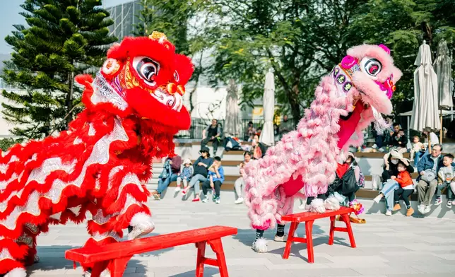 如心園春節嘉年華活動