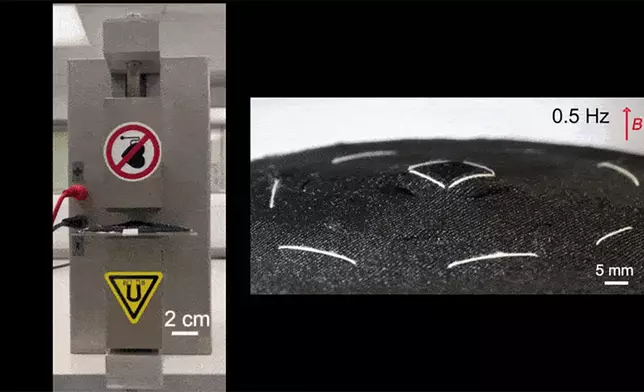 研究團隊開發的創新物料包括通過電控磁場驅動纖維結構變形實現透氣量智能調節的主動通風調溫織物。