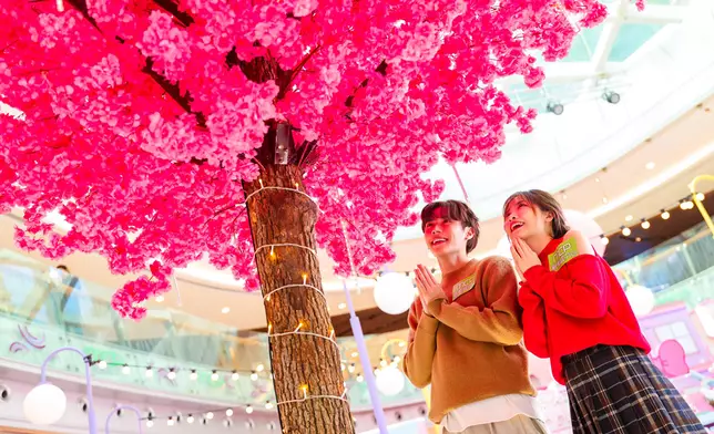 幸福祈願櫻花樹