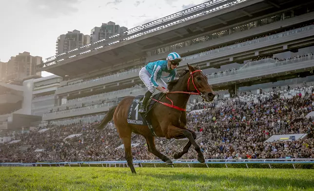 「浪漫勇士」準備就緒出戰週日上演的一級賽董事盃，向三冠王寶座進發。馬會提供圖片