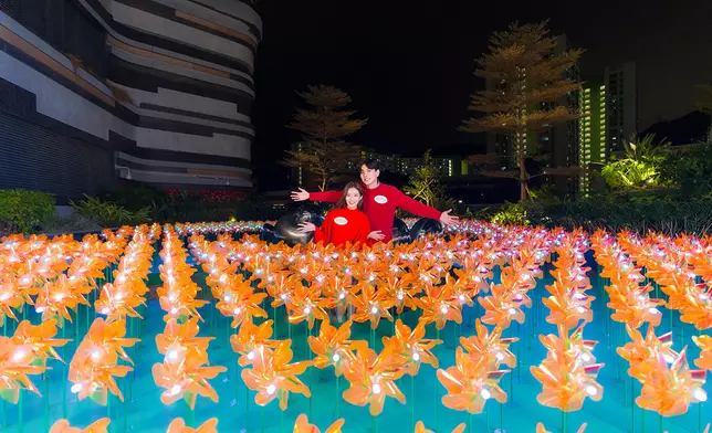 「風車光影幻海」