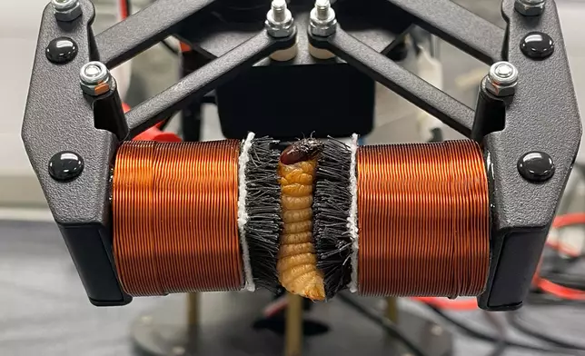 研究團隊開發的創新物料包括能通過電流控制剛度靈活抓起易碎或不規則形狀物品的柔性「靈巧抓」。