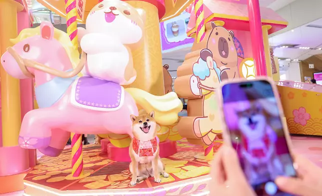 柴運亨通幸運屋