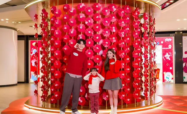 桃花轉轉風車牆