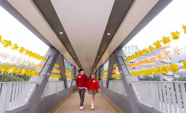 車公廟路風車橋