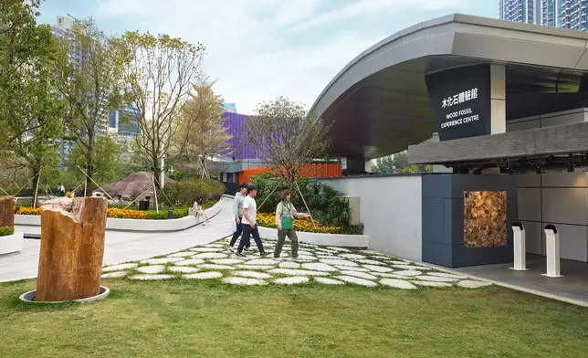 如心園木化石公園是香港首個及唯一的木化石公園