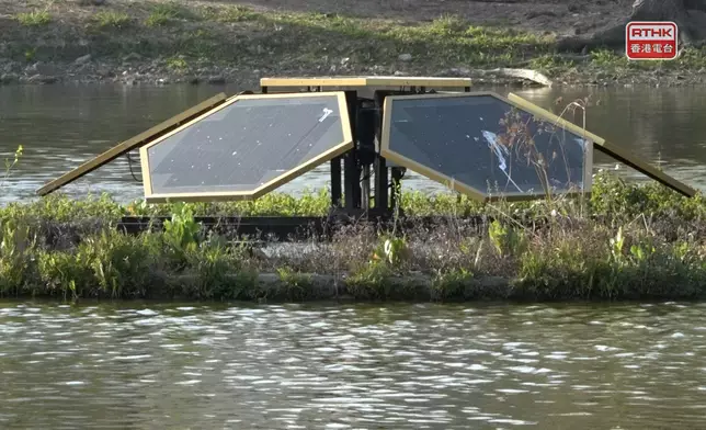 陳慶強認為，浮島為鳥類及其他動物增加棲息空間，淡水蚌除了作為鳥類食物，亦有助調節水質。（林紹鋒攝）