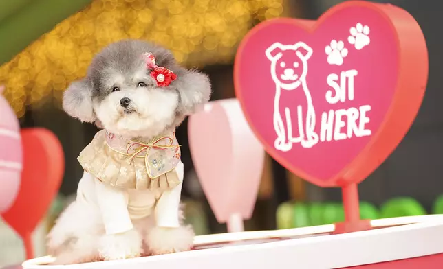 花間遨遊遊樂園 吹氣心心打卡裝置