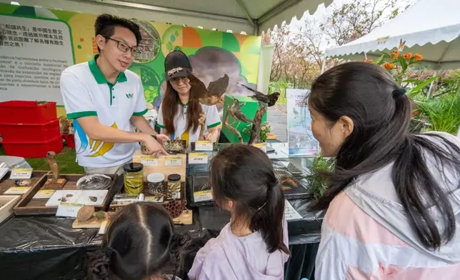 綠化週嘉年華攤位。澳門政府新聞局圖片
