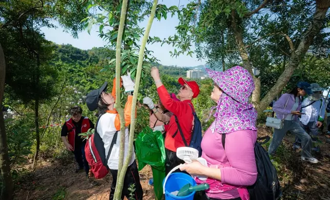 大步行及護理林木活動。澳門政府新聞局圖片