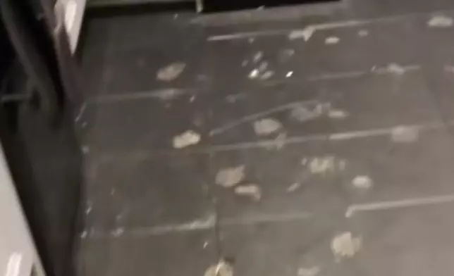 女子廚房地板現詭異腳印，尺寸近成人手掌惹疑。TikTok圖片