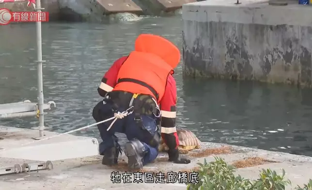 北角碼頭發現一具龜屍。有線新聞影片截圖