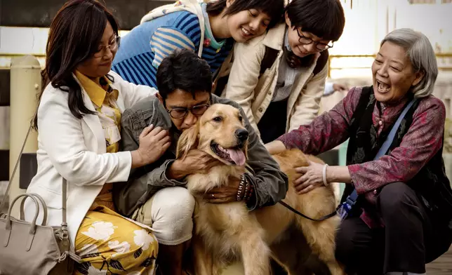 由導演翁子光首部新春賀歲喜劇電影《金多寶》即將於2月13日（年廿六）上映