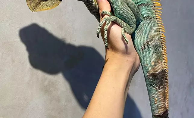 20260203_CR_烏溪沙青年新村初三開放日_小動物大世界觀賞區 1