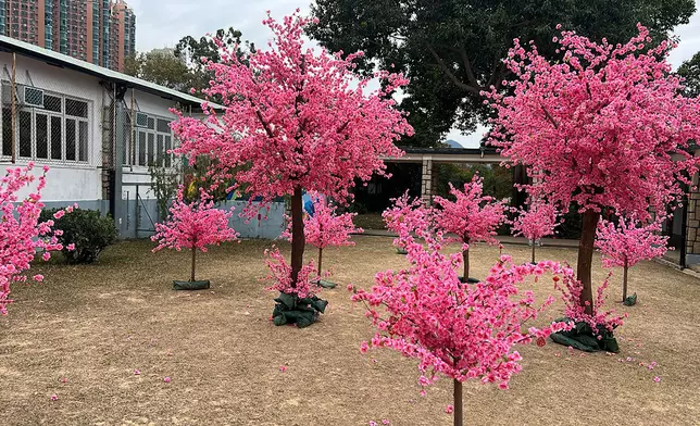 烏溪沙青年新村初三開放日桃花陣