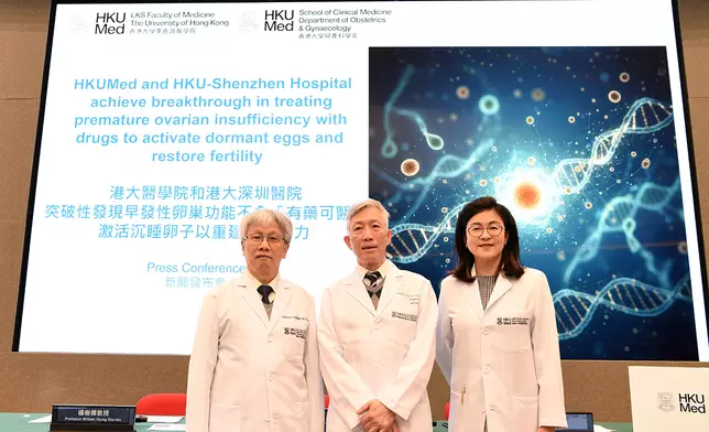 港大醫學院發現早發性卵巢功能不全「有藥可醫」，透過喚醒休眠的小卵泡，助其發育成為可用的竇卵泡，是恢復生育能力的關鍵突破。（左起）楊樹標教授、吳鴻裕教授及王天任醫生。