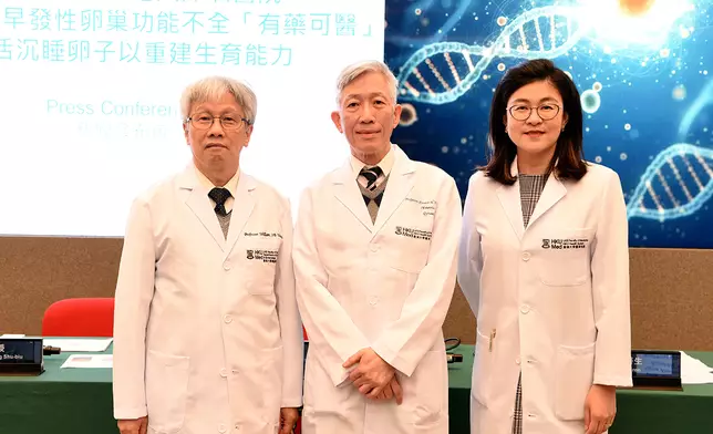 港大醫學院發現早發性卵巢功能不全「有藥可醫」，透過喚醒休眠的小卵泡，助其發育成為可用的竇卵泡，是恢復生育能力的關鍵突破。（左起）楊樹標教授、吳鴻裕教授及王天任醫生。