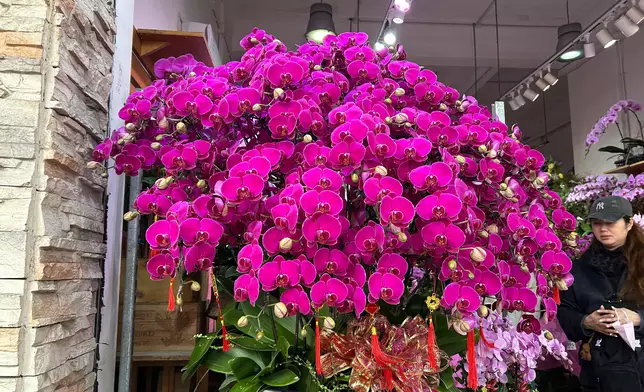 巴士的報記者攝