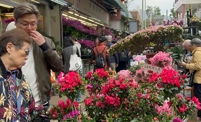 巴士的報記者攝