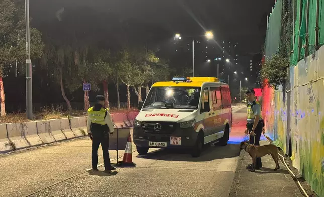 於策略性位置設置路障，截查可疑車輛及人士。