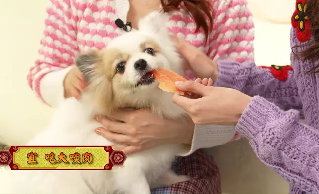 雲文子師傅將獨家傳授狗狗的催運秘訣！