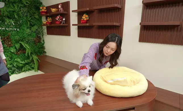 雲文子師傅將獨家傳授狗狗的催運秘訣！