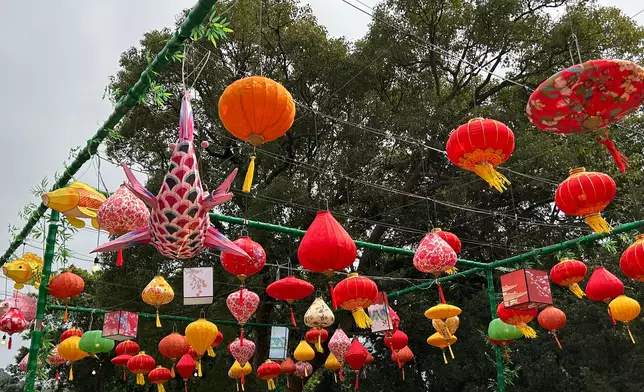 林村「香港許願節」。巴士的報記者攝