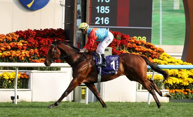 「嘉應高昇」成為香港連勝最多的馬匹。香港賽馬會圖片