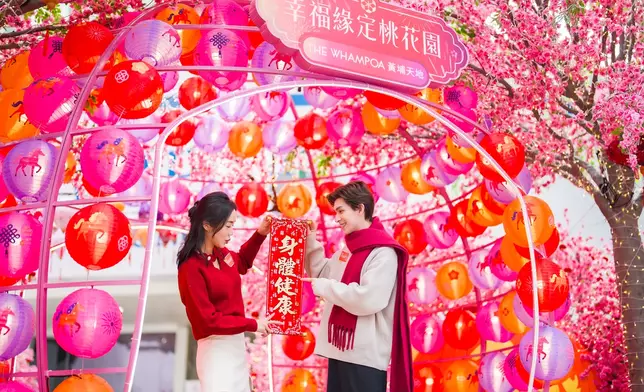 祥馬花燈照桃門 