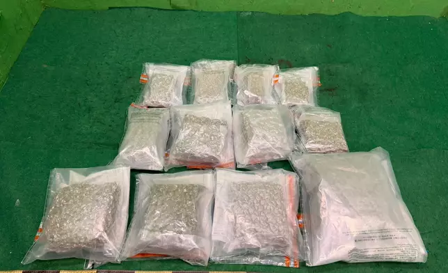 為案中檢獲的懷疑大麻花。 政府新聞處圖片