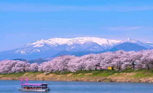 林紹波表示，日本航班及需求已回復正常