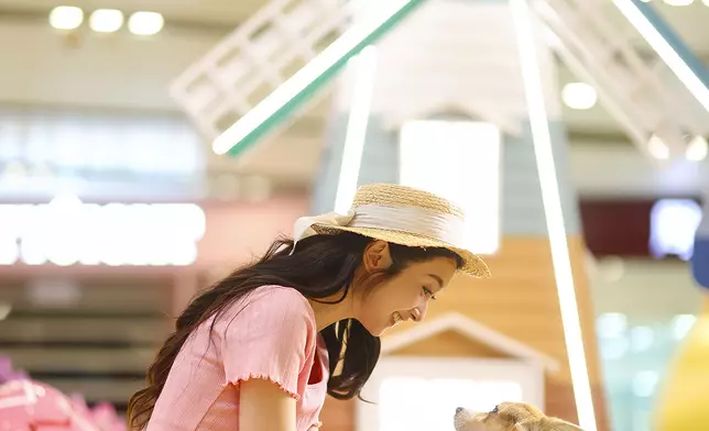 3.2 米高歐陸風田園風車