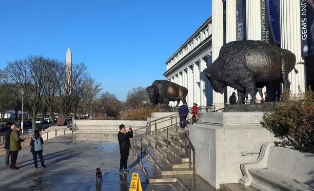 青銅鑄造的野牛雕像於2026年3月20日周五在華盛頓（Washington）的史密森尼國家自然歷史博物館（Smithsonian’s National Museum of Natural History）外永久展出。背景可見華盛頓紀念碑（Washington Monument）。 (美聯社圖片/Rahmat Gul) AP圖片