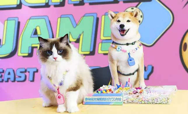 寵物匹克球頸繩工作坊