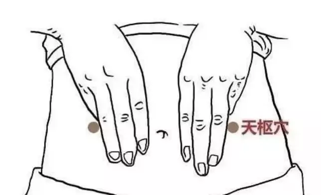 天樞穴。網上圖片